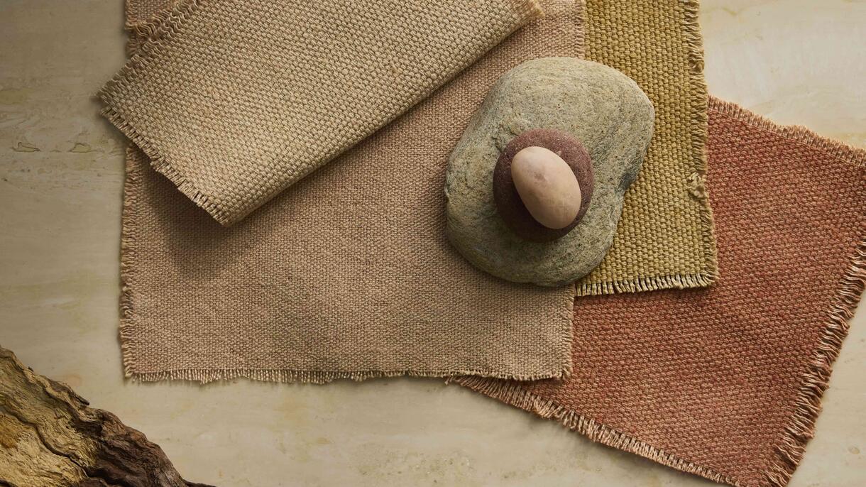 20250514 sien co boh 537 3x2